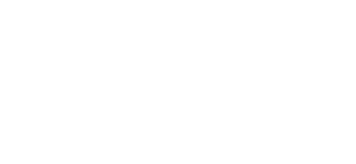 cropped-DEHN_INSTATEC_Logo_RGB_negativ.png